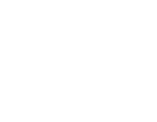 Skinnol